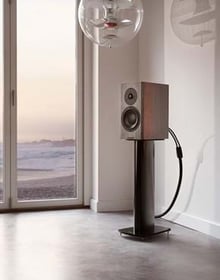 dynaudio-special-40-lifestyle-grey-birch-01