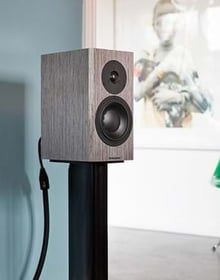 dynaudio-special-40-lifestyle-grey-birch-02-1