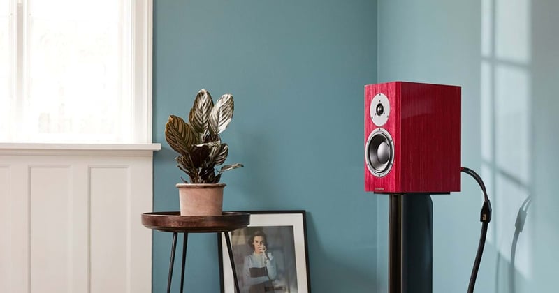 Special Forty - AUDIO TEST