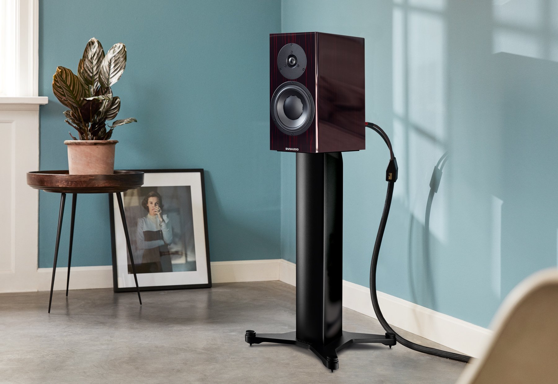 Dynaudio-Special-Forty_BlackVine_2_Stand20