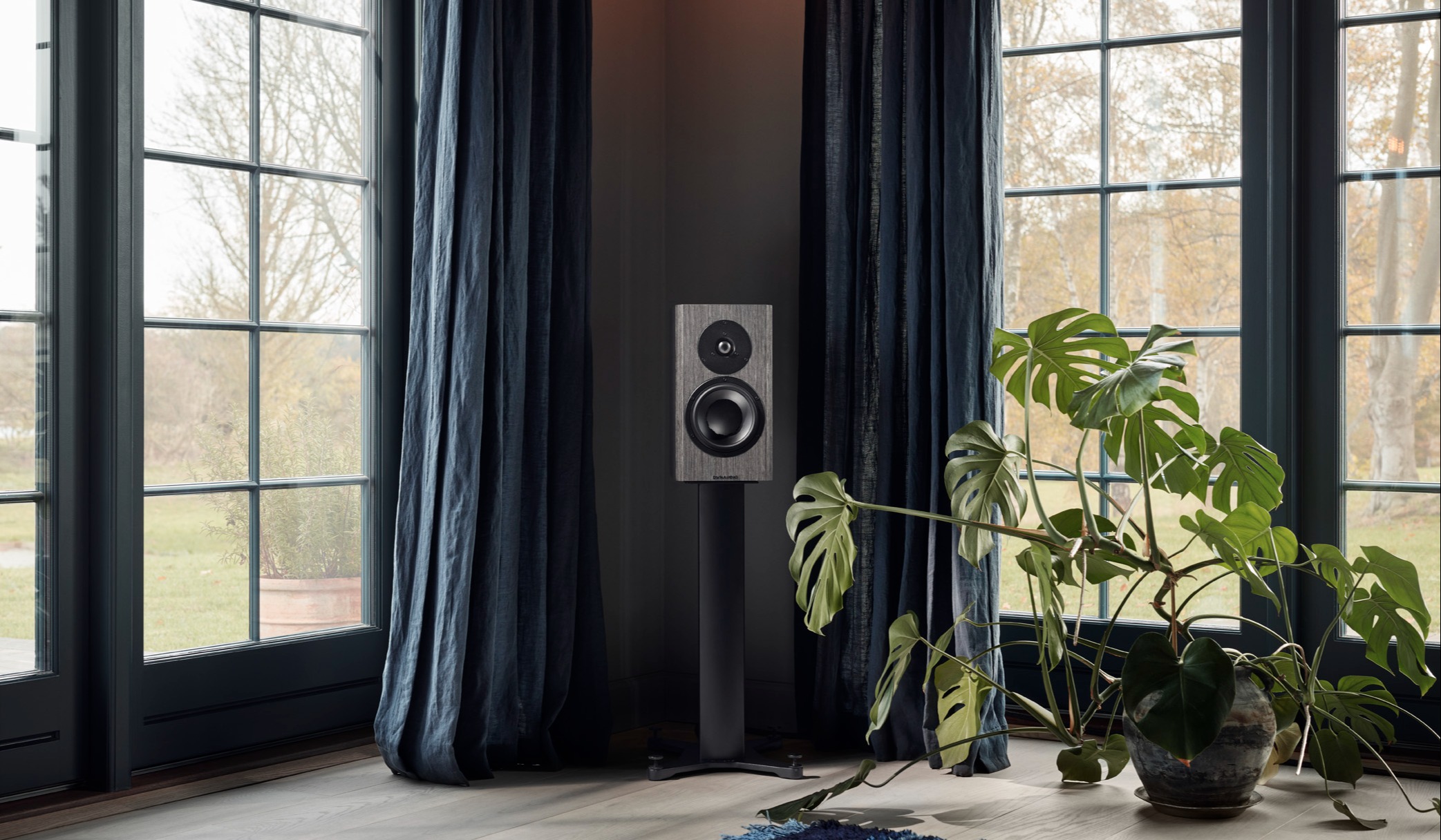 Dynaudio Special Forty - Grey Birch High Gloss - Lifestyle 02