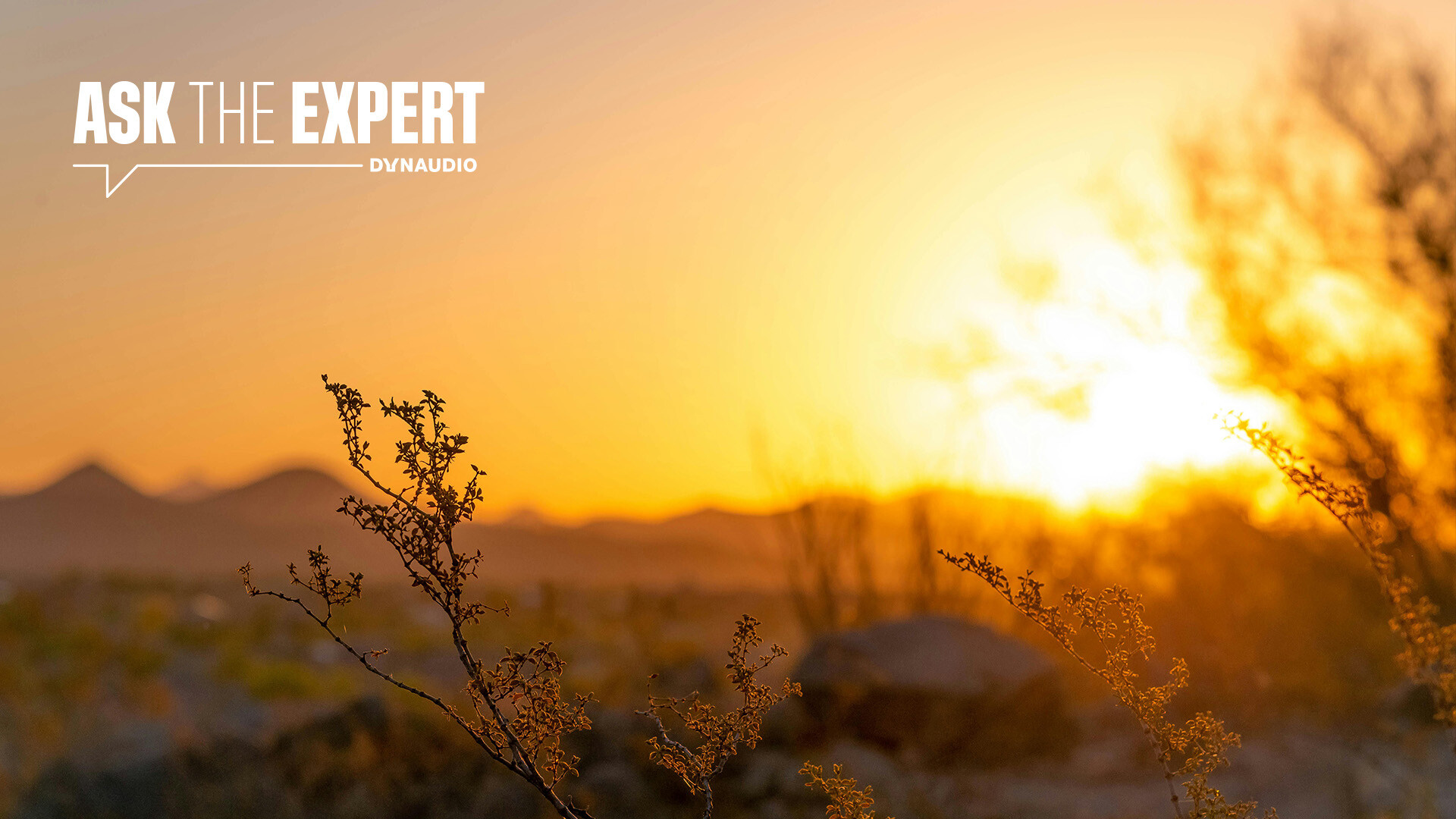 2024_Dynaudio_AskTheExpert_Ep30_Sunlight_02.57min_Cover