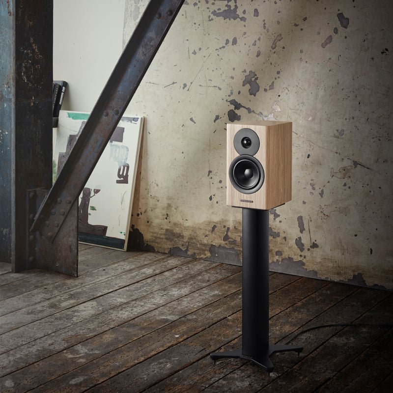 Dynaudio Evoke 10 blonde wood - Lifestyle-1