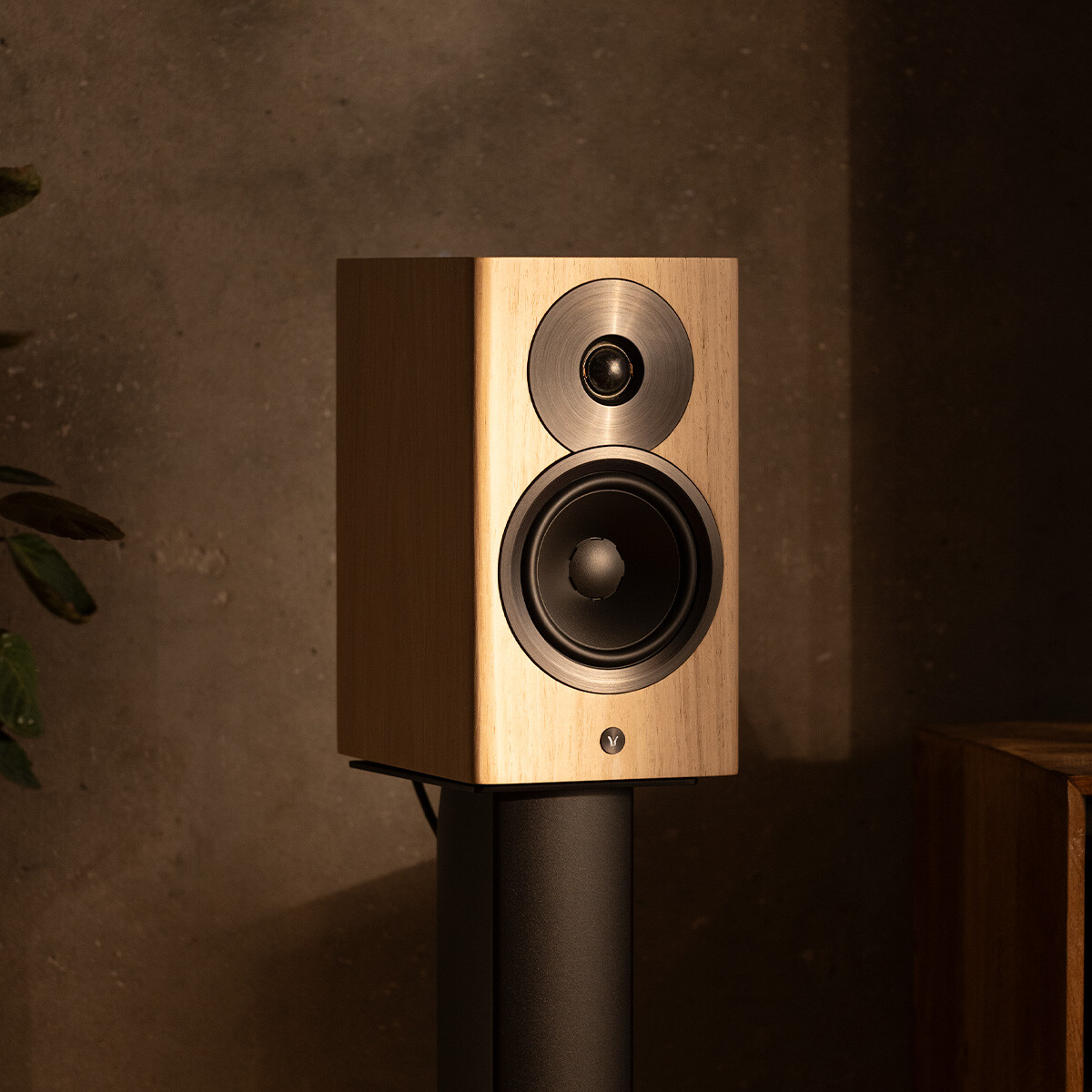 Dynaudio Focus 10 | The Audiophile Apartment | P.O.T.Y 2024